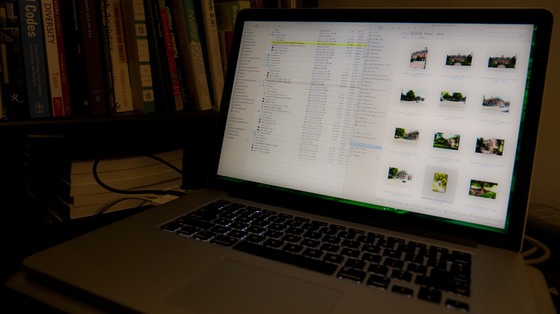 icon-photos-for-book-12OCT12-3422